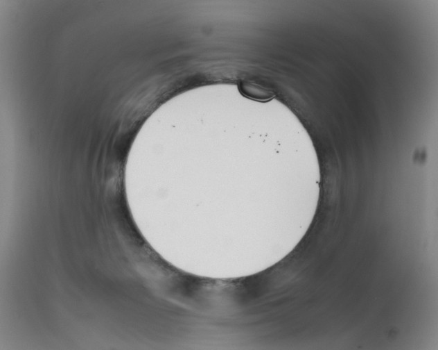 X0000111530125200908251212