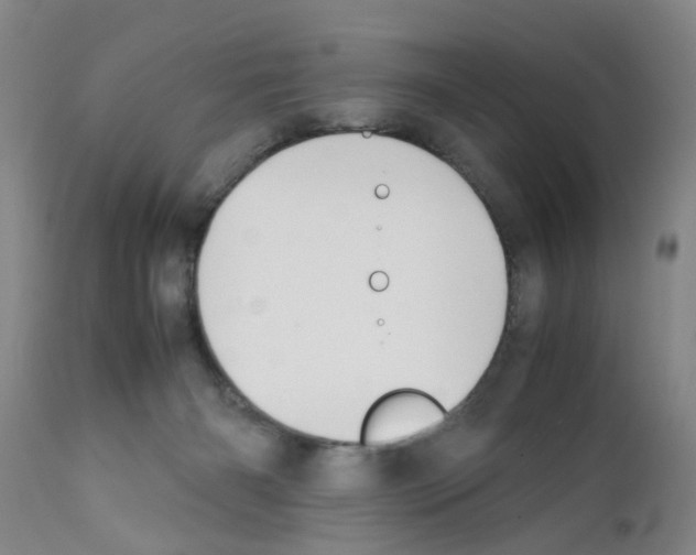 X0000111530126200908251212