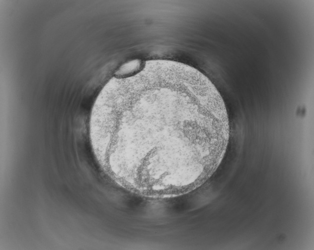 X0000111530127200908251212