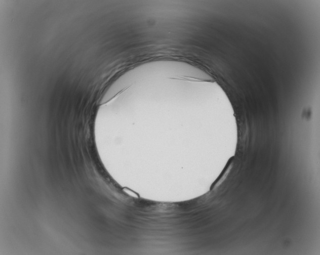 X0000111530128200908251212