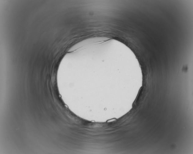 X0000111530129200908251212