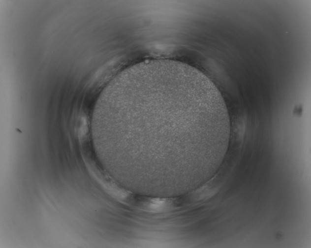 X0000111530130200908251212