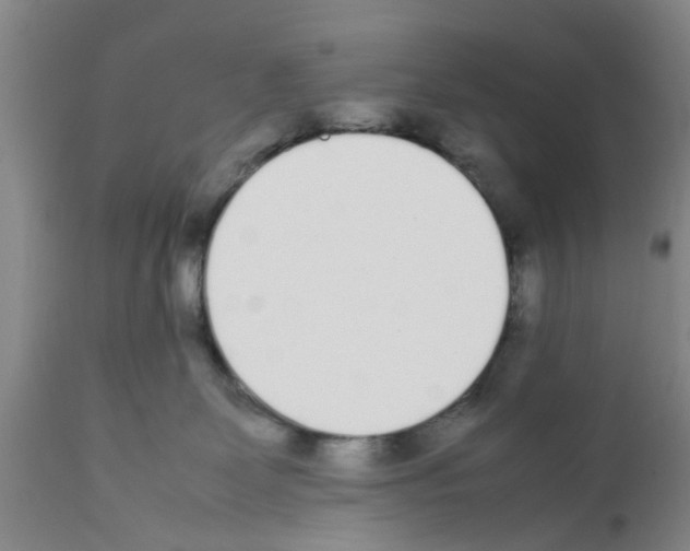 X0000111530131200908251212