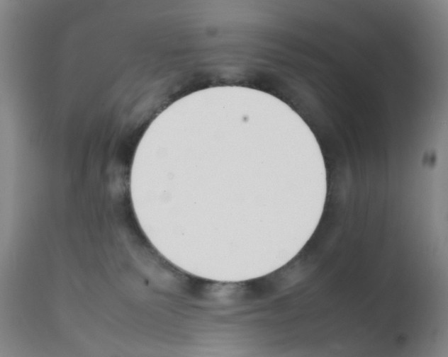 X0000111530135200908251212