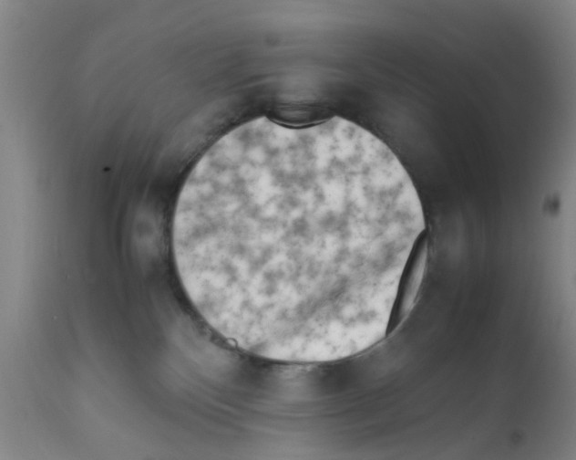 X0000111530136200908251212