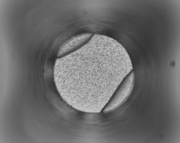 X0000111530137200908251212