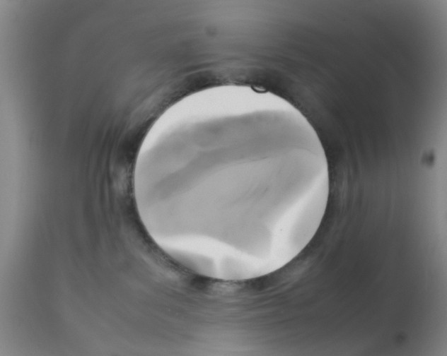 X0000111530139200908251212