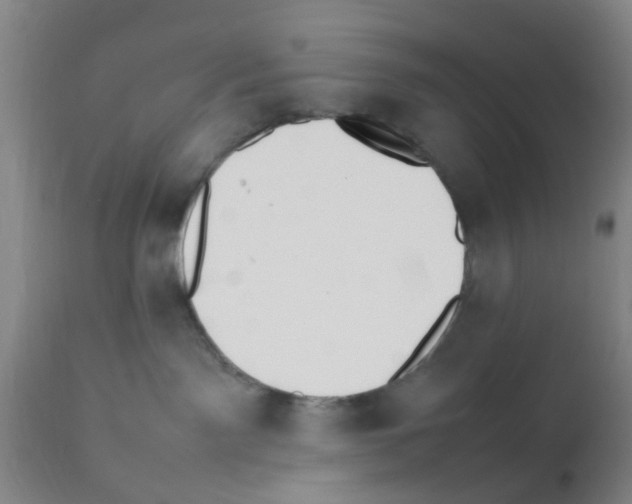 X0000111530141200908251212