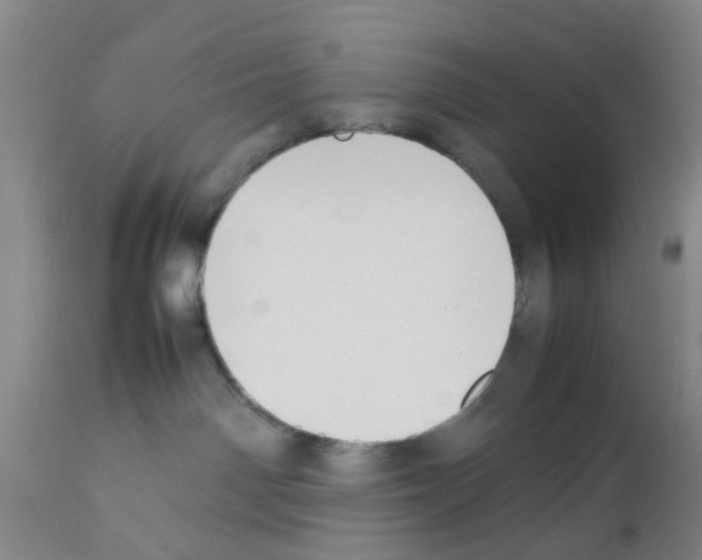 X0000111530142200908251212