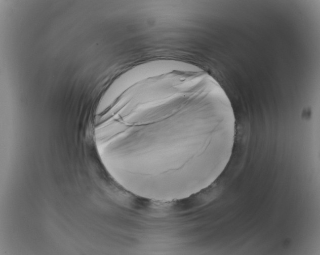 X0000111530143200908251212