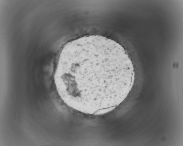 X0000111530144200908251212