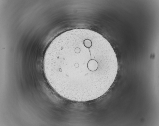 X0000111530146200908251211