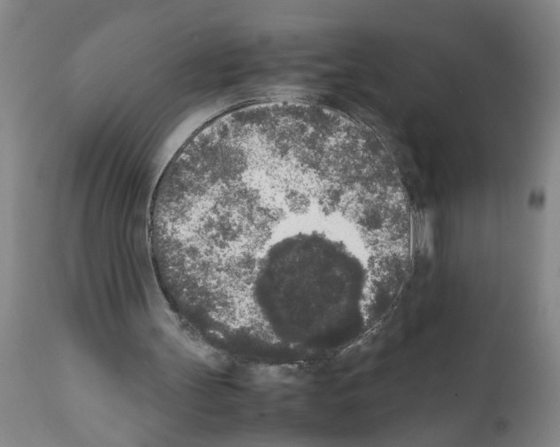 X0000111530147200908251211