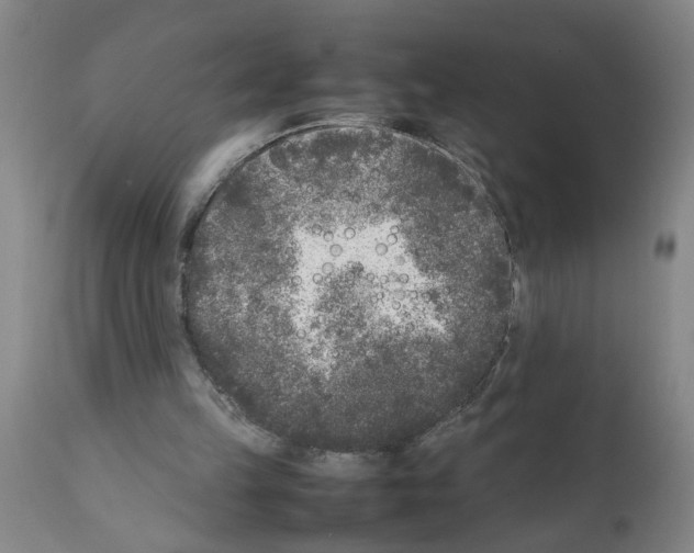 X0000111530149200908251211