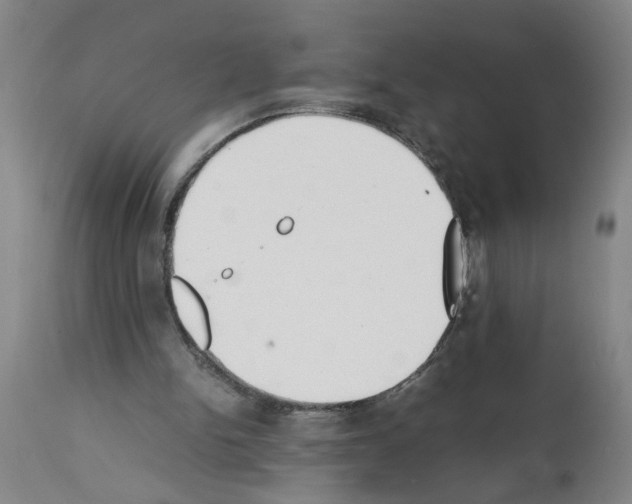 X0000111530150200908251211