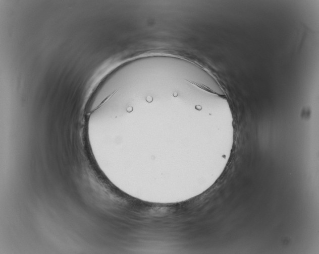 X0000111530152200908251211