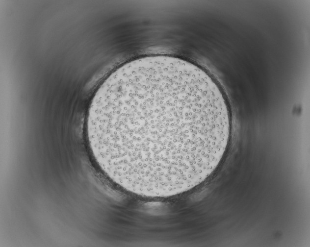 X0000111530153200908251211