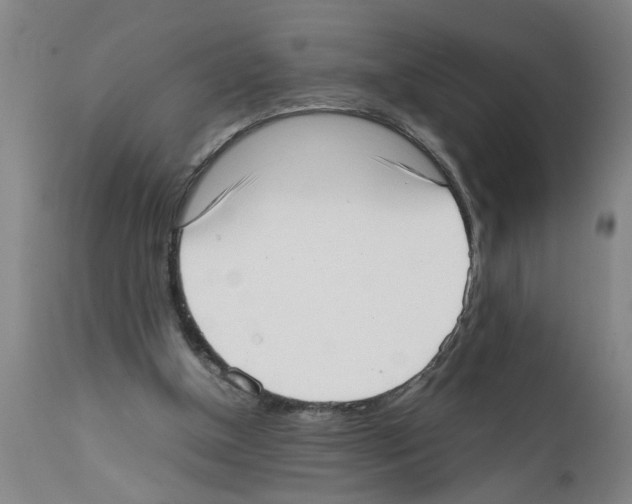 X0000111530154200908251211