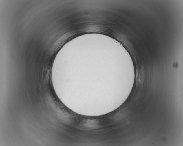 X0000111530157200908251211