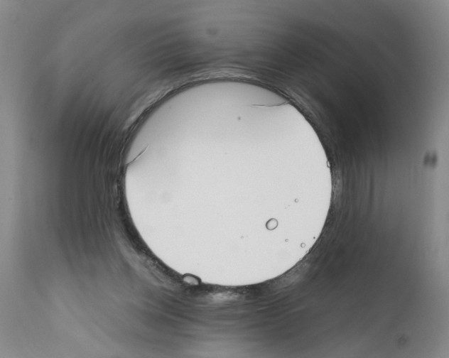 X0000111530158200908251211