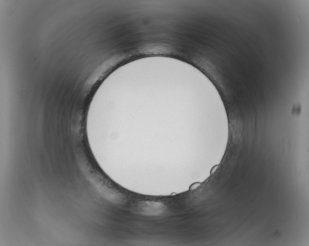 X0000111530159200908251211