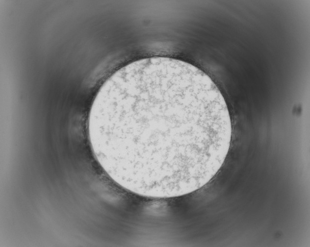 X0000111530162200908251211