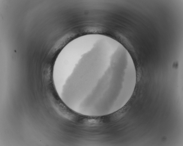 X0000111530163200908251211