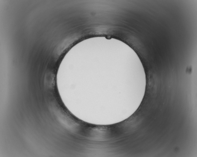 X0000111530164200908251211