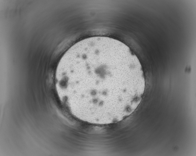 X0000111530166200908251211