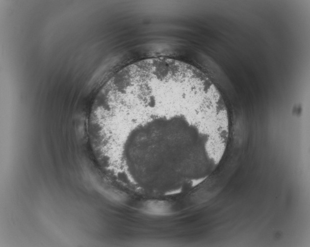 X0000111530169200908251211