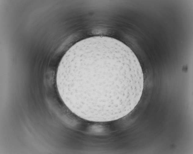 X0000111530171200908251211