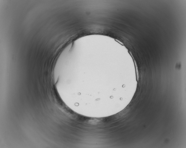 X0000111530172200908251211