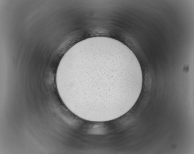 X0000111530173200908251211