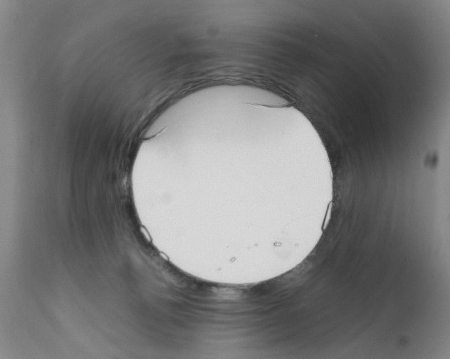 X0000111530176200908251211