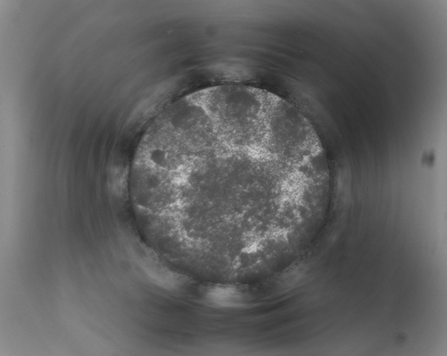 X0000111530177200908251211