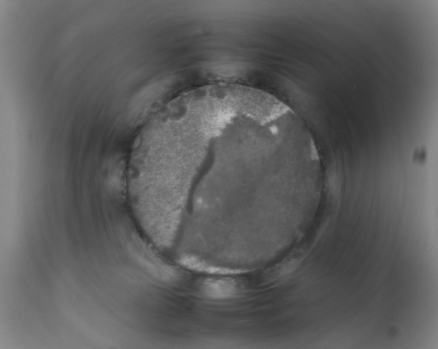 X0000111530181200908251211