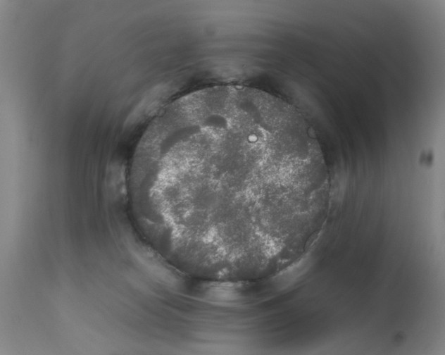 X0000111530182200908251211