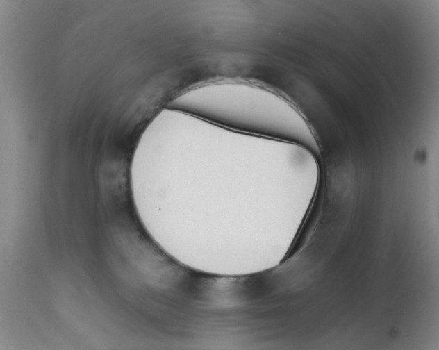 X0000111530184200908251211