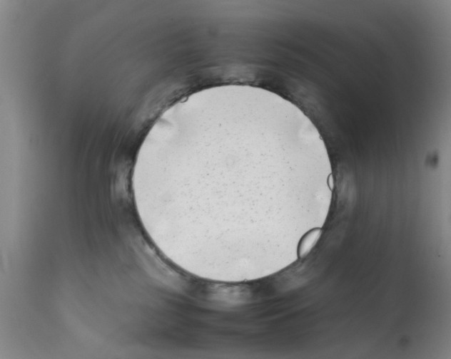 X0000111530185200908251211