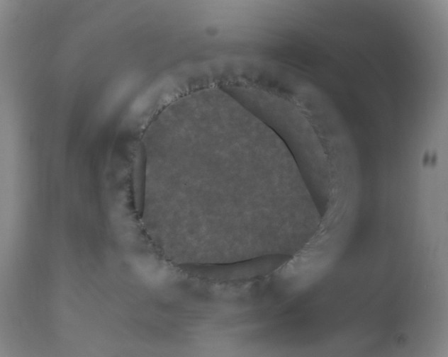 X0000111530192200908251212