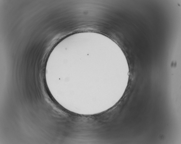 X0000111530193200908251211