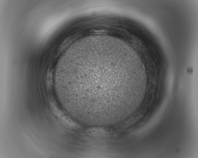 X0000111530194200908251211