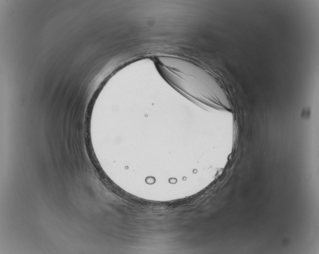 X0000111530195200908251211