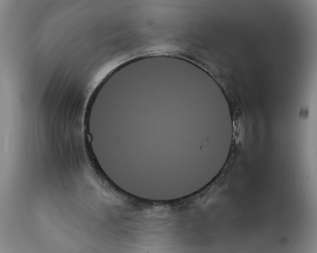 X0000111530196200908251211