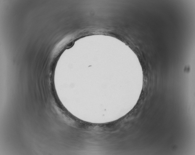 X0000111530197200908251211