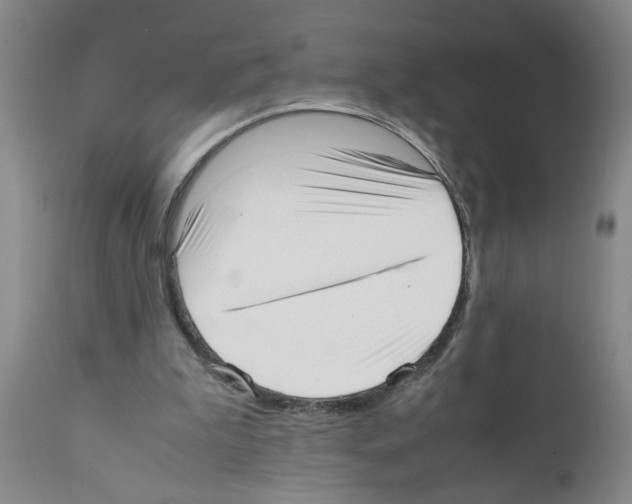 X0000111530199200908251211