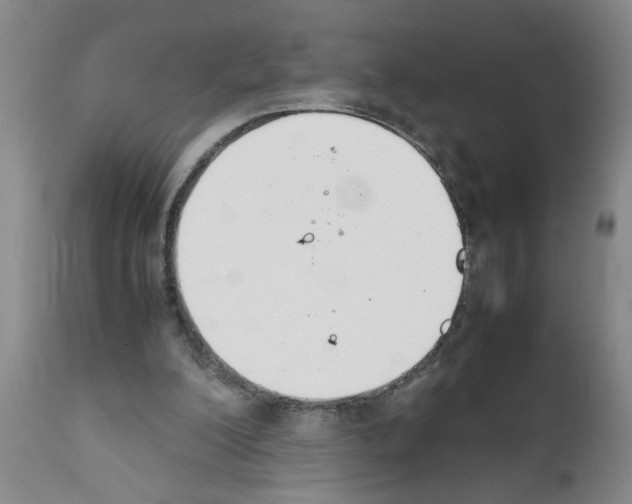 X0000111530200200908251211