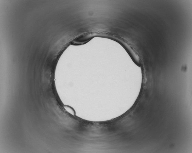 X0000111530201200908251211