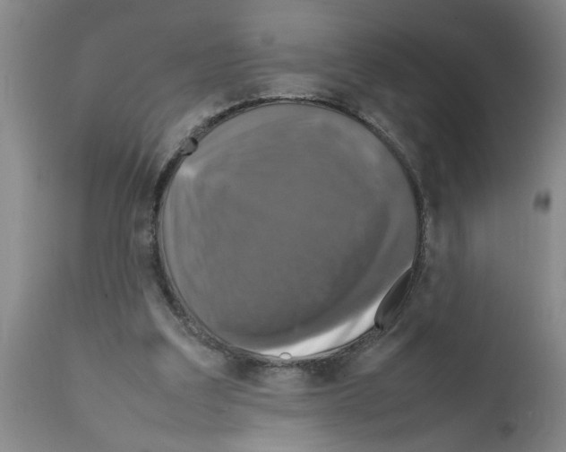 X0000111530203200908251211