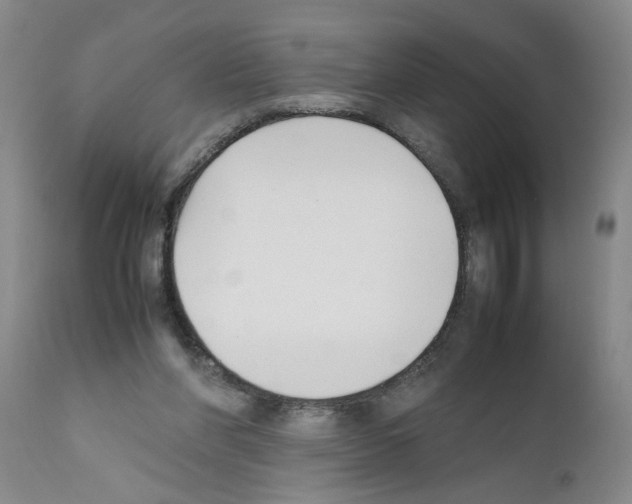 X0000111530206200908251211